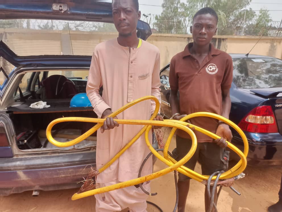 Two arrested for vandalizing and stealing cables from Adamawa Water treatment plant